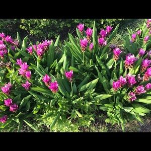 Meet your Posher, Gabi